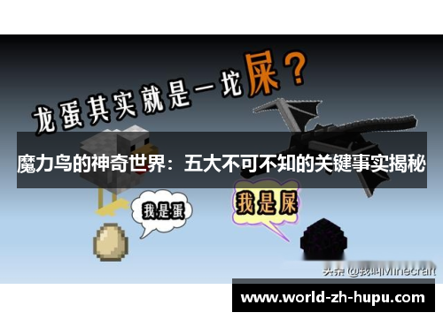 魔力鸟的神奇世界：五大不可不知的关键事实揭秘